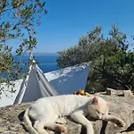 Holiday home Koki Eco House *