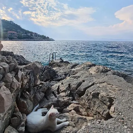 Koki Eco House Holiday home Blato (Korcula)
