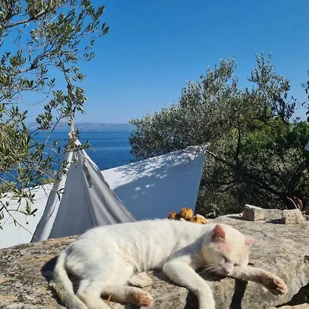 Holiday home Koki Eco House *