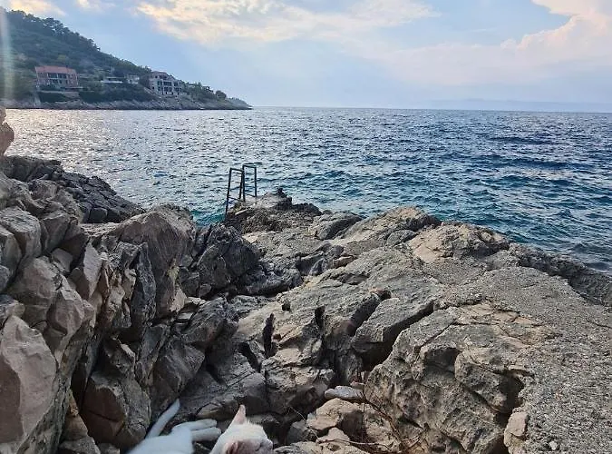 Koki Eco House Vikendica Blato (Korcula)